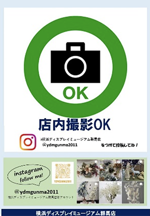 画像の説明
